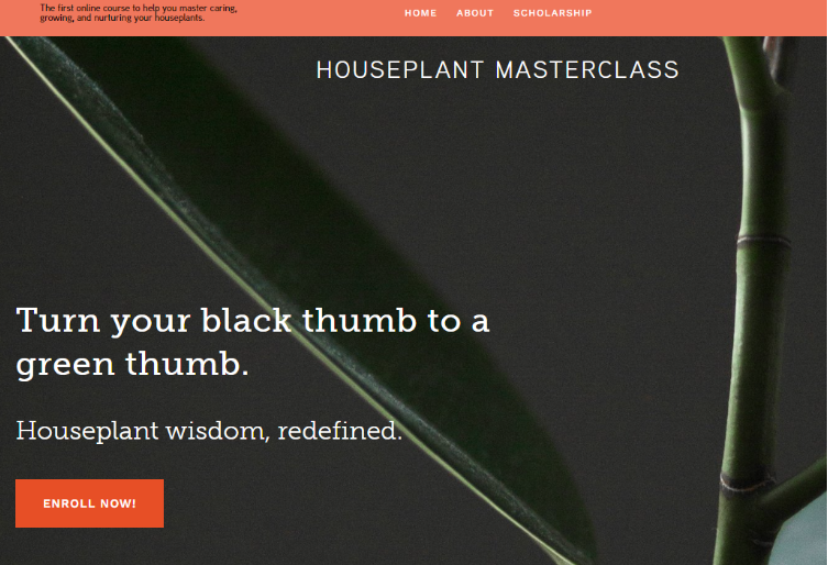 Houseplant Masterclass
